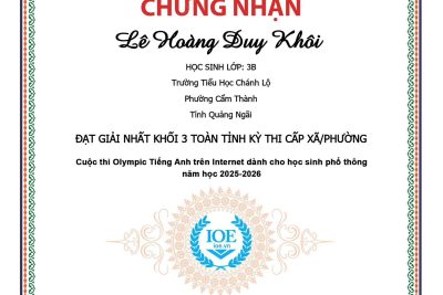 VINH DANH HỌC SINH ĐẠT GIẢI KỲ THI IOE CẤP XÃ/PHƯỜNG NĂM HỌC : 2025-2026