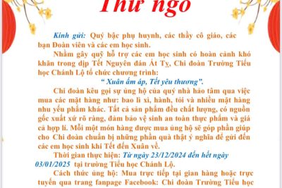 Chi đoàn trường Tiểu học Chánh Lộ tổ chức bán hàng Tết gây quỹ ” Vì học sinh khó khăn” của trường
