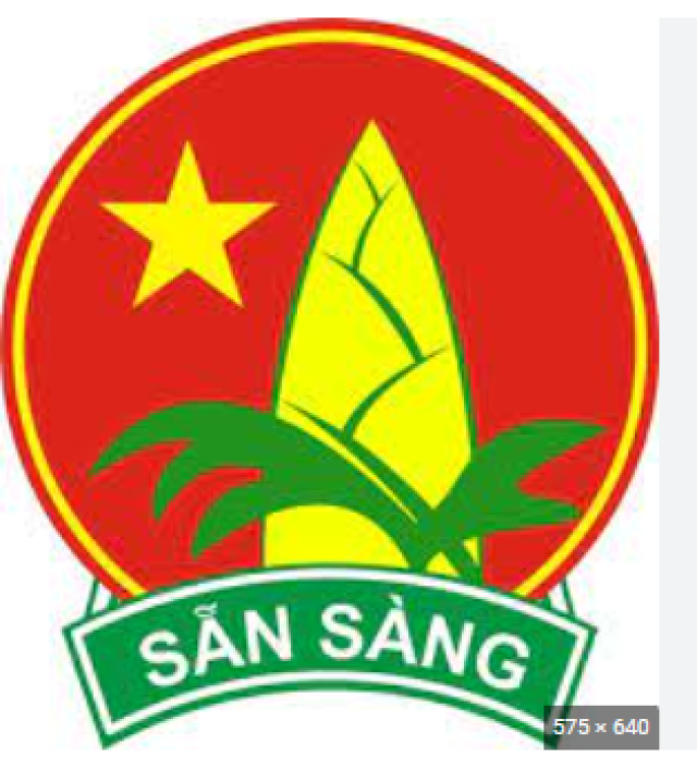 Liên đội trường Tiểu học Chánh Lộ
